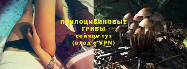 apvp Алексеевка